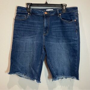 LOFT Blue Denim Shorts 14 / 32